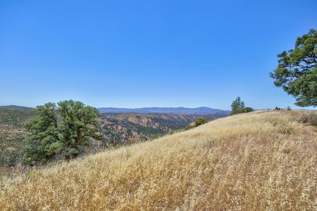 15050 Del Puerto Canyon Rd, CA, 94550 land for sale