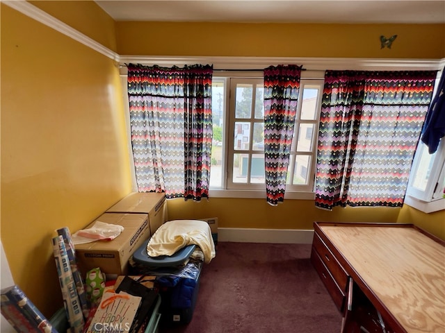 sitting room with dark colored carpet