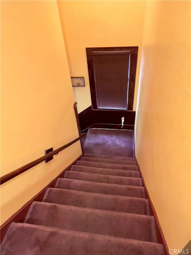 staircase with carpet