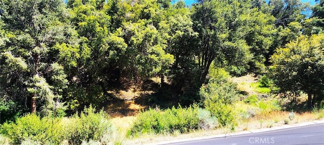 Listing photo 2 for 2512 Woodland Dr, Pine Mountain Club CA 93222