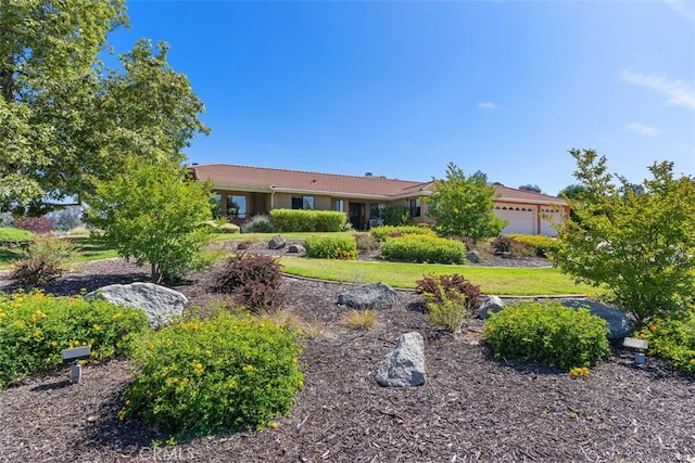 view of yard with a garage