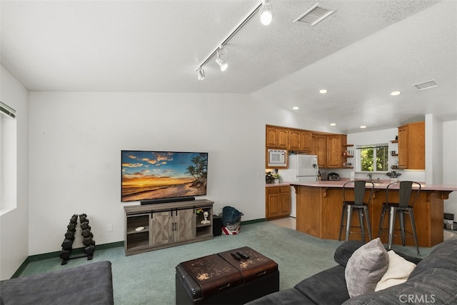 carpeted living room with a textured ceiling, vaulted ceiling, and track lighting