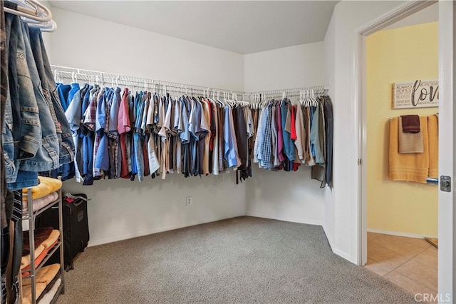 walk in closet with carpet flooring