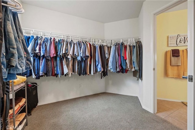 spacious closet with carpet floors