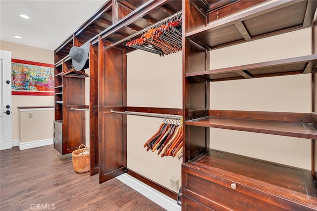 walk in closet with wood-type flooring