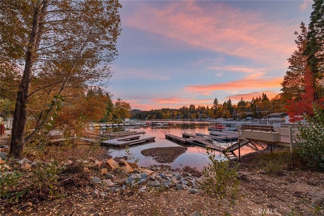 yard at dusk with a water view and a boat dock