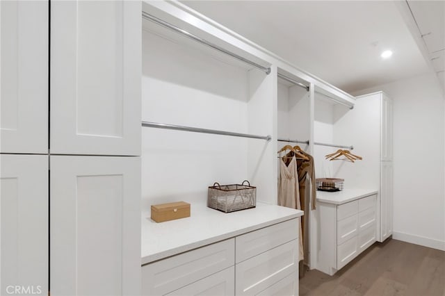 spacious closet featuring light wood-type flooring