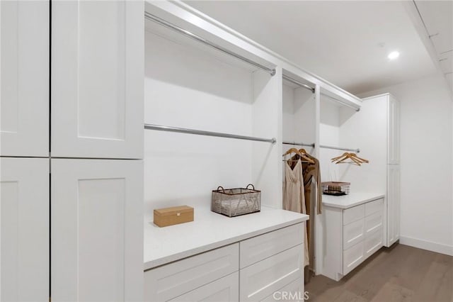 walk in closet with light wood-type flooring