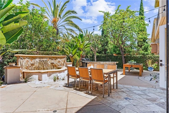 view of patio with outdoor dining space and area for grilling