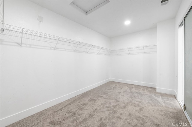 spacious closet featuring light colored carpet