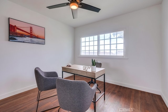 office featuring ceiling fan and dark hardwood / wood-style flooring