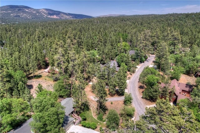 Listing photo 3 for 1239 Alpenweg, Big Bear Lake CA 92315