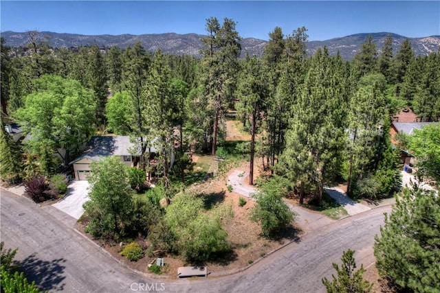 1239 Alpenweg, Big Bear Lake CA, 92315 land for sale