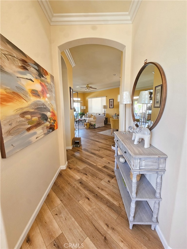 hall with crown molding and wood-type flooring