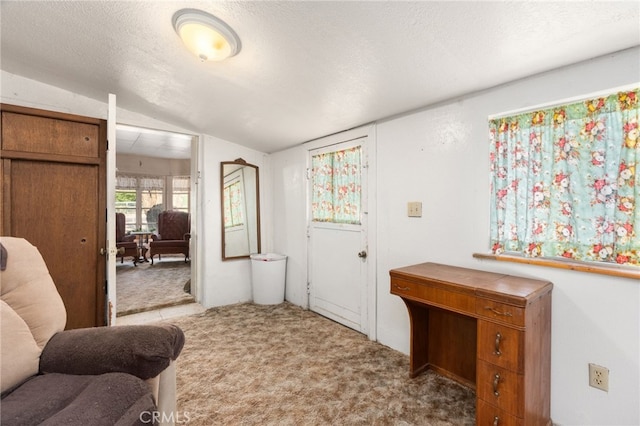 entrance foyer featuring carpet flooring, vaulted ceiling, and a textured ceiling