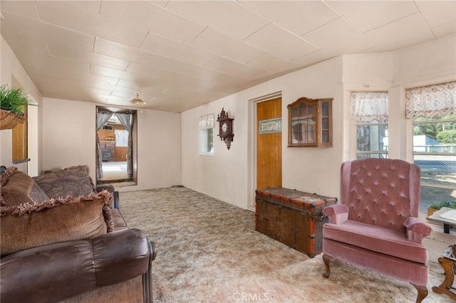 view of carpeted living area