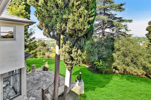 view of yard featuring a patio