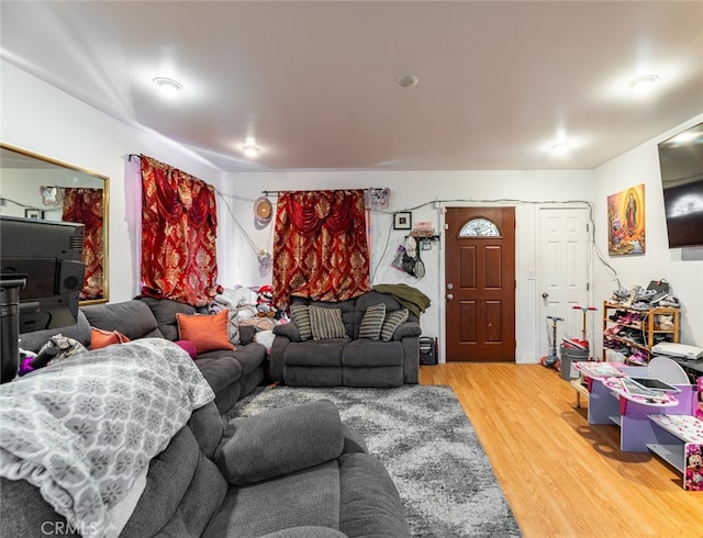 living room with hardwood / wood-style flooring