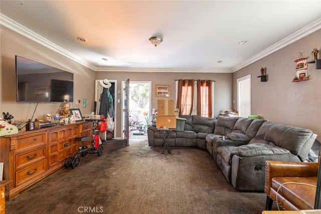 living room with crown molding and dark colored carpet