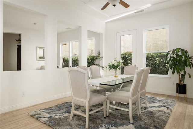 dining room featuring ceiling fan and wood-type flooring