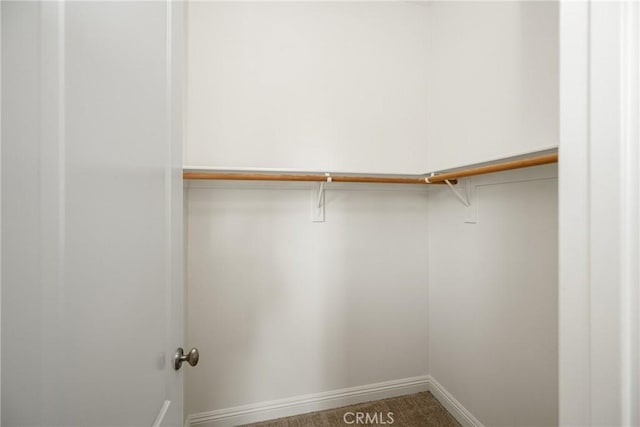 spacious closet featuring carpet