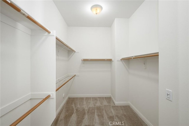 walk in closet with light carpet