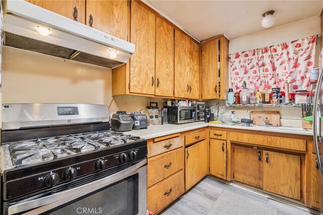 kitchen featuring light hardwood / wood-style floors, appliances with stainless steel finishes, and sink