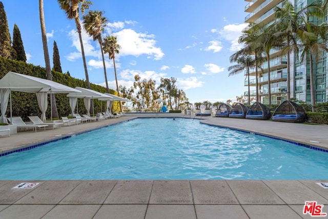 view of swimming pool featuring a patio