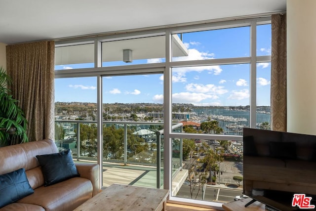 entryway with expansive windows, plenty of natural light, and hardwood / wood-style floors