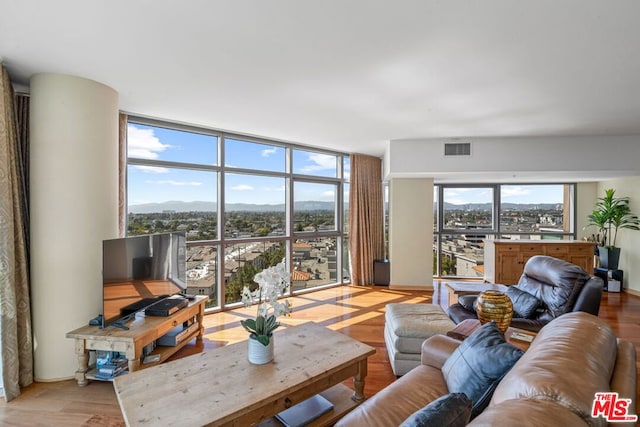 living room featuring a healthy amount of sunlight, light hardwood / wood-style flooring, and floor to ceiling windows