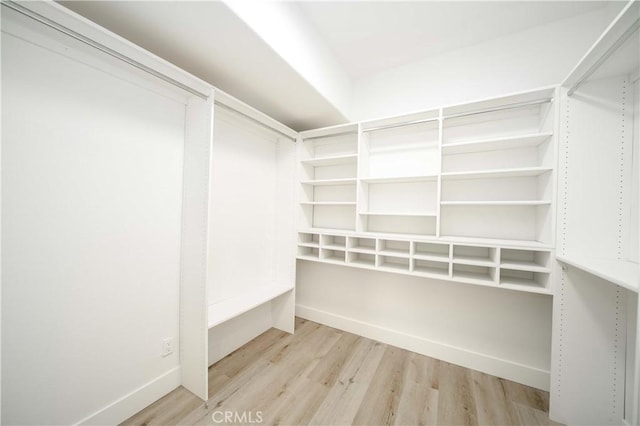 spacious closet with light wood-type flooring