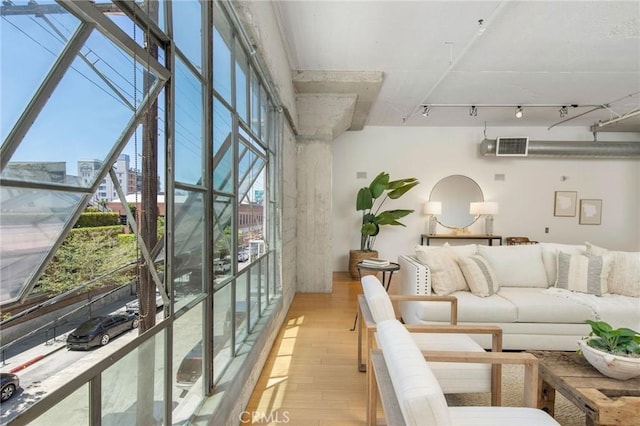 living room with plenty of natural light, light wood-type flooring, and rail lighting