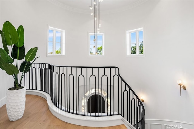 stairs with hardwood / wood-style floors, ornamental molding, and a healthy amount of sunlight