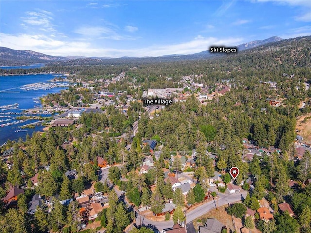 birds eye view of property with a water and mountain view