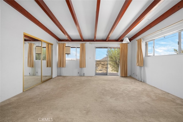 empty room featuring carpet floors and a healthy amount of sunlight