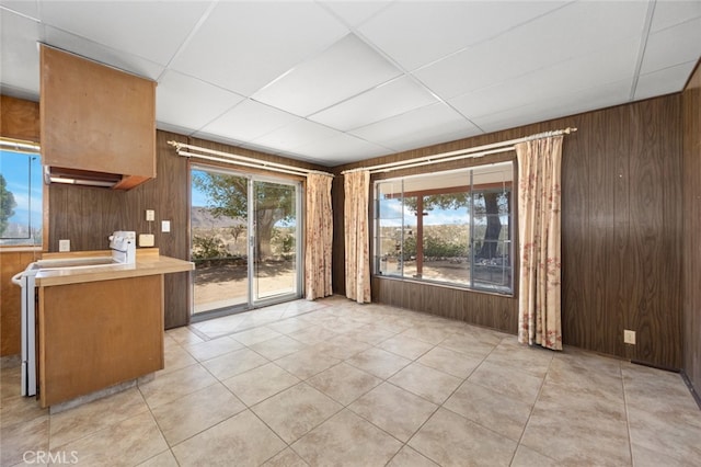 kitchen with stove, wooden walls, and a wealth of natural light