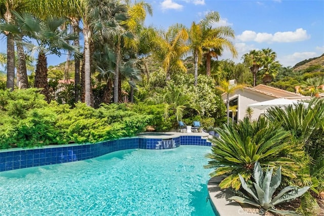 view of swimming pool