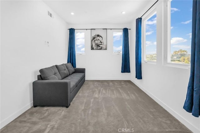 sitting room with plenty of natural light and carpet floors