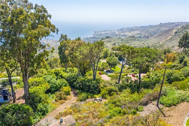 birds eye view of property with a mountain view