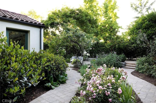 view of yard with a patio area