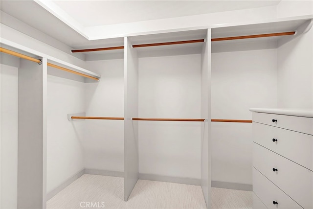 view of walk in closet