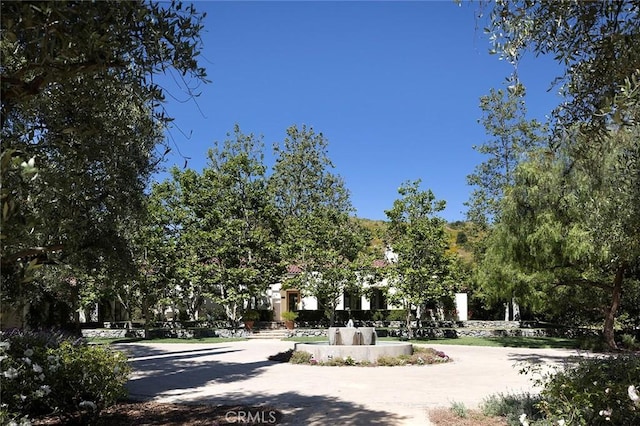 view of community with concrete driveway