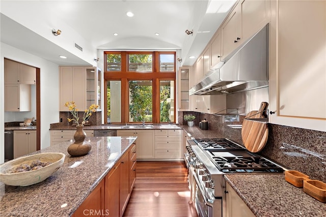 kitchen featuring stone counters, appliances with stainless steel finishes, dark wood-type flooring, a sink, and under cabinet range hood