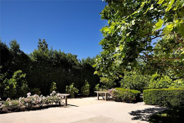 view of property's community with a patio