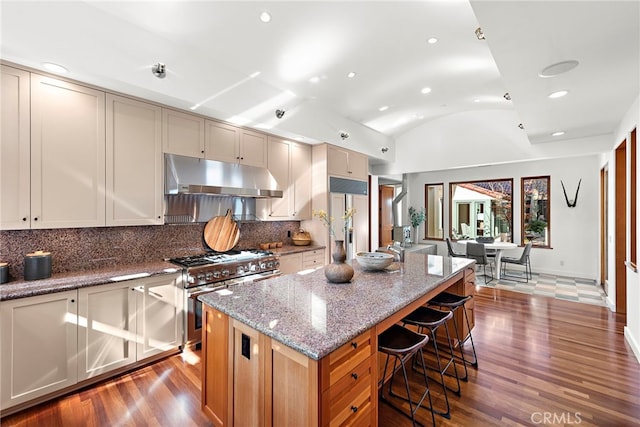 kitchen with premium appliances, wood finished floors, vaulted ceiling, under cabinet range hood, and recessed lighting