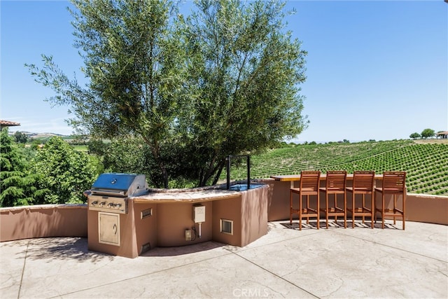 view of patio / terrace featuring area for grilling, exterior bar, and a rural view