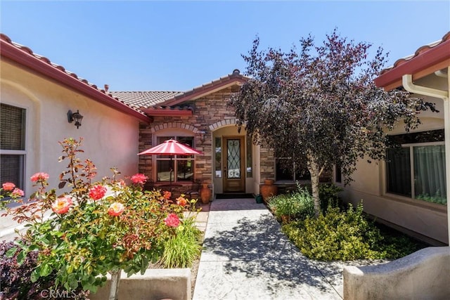 doorway to property with stone siding, a tiled roof, and stucco siding