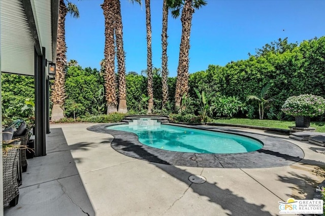 view of pool with a patio area