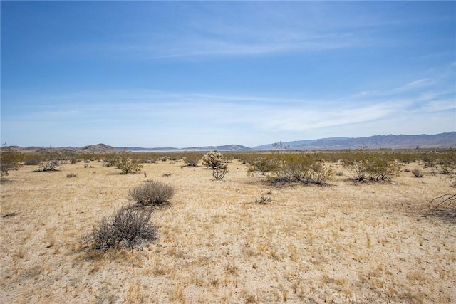 4687 Border Ave, Joshua Tree, CA 92252 - photo 18