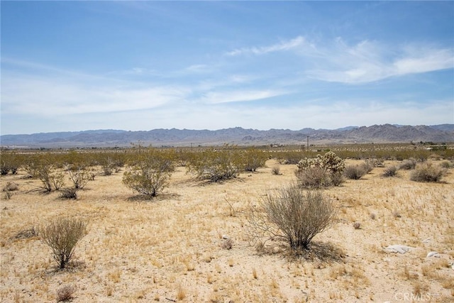 4687 Border Ave, Joshua Tree, CA 92252 - photo 15